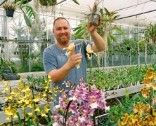 Faszination Orchideen – Orchideenliebhaber aus ganz Europa bestellen in Welbhausen ihre Pflanzen