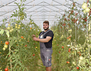 Sebastian Baumann setzt auf Direktvermarktung. Die Tomaten in Bioqualität kommen direkt vom Strauch zu den Kunden. Frischer geht es nicht. Foto: am