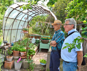 Alles im Garten, auch der Folientunnel für Tomaten, dessen Gerüst aus  Haselnussruten besteht, ist „Marke Eigenbau“. Foto: ul