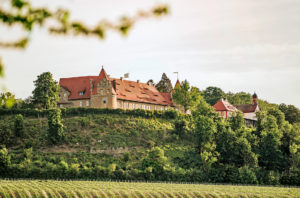 Schloss Frankenberg, eingerahmt von den Weinbergen, ist schon von der Ferne zu erkennen. Foto: Privat